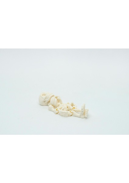 Insan Iskelet 3D Hareketli Model Küçük Boy