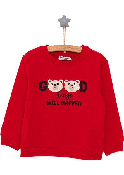 Basic Az Şardonlu Aslan Desenli Sweatshirt Kız Bebek