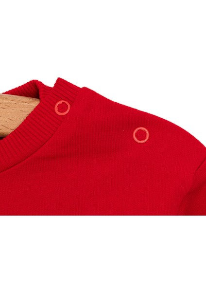 Basic Az Şardonlu Aslan Desenli Sweatshirt Kız Bebek modelleri