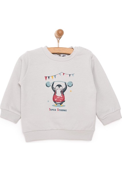 Basic Az Şardonlu Penguen Baskılı Sweatshirt Erkek Bebek