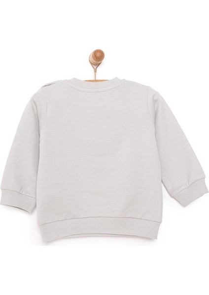 Basic Az Şardonlu Penguen Baskılı Sweatshirt Erkek Bebek fiyatları