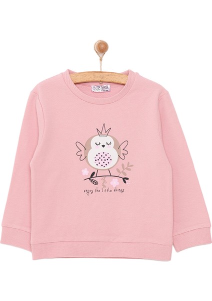 Basic Az Şardonlu Aslan Desenli Sweatshirt Kız Bebek