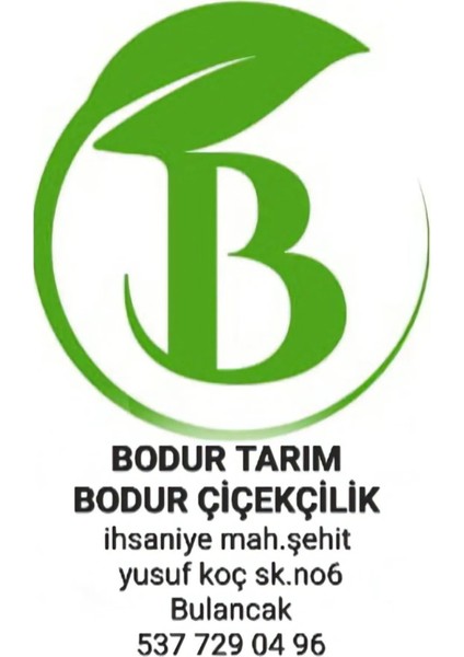 Bulancak Doku Kültürü Tam Bodur 2 Yaşında Tüplü Gojiberry Meyve Fidanı