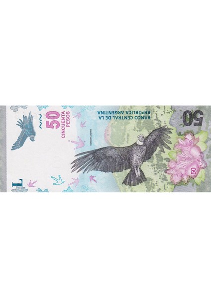 Arjantin 50 Peso 2018, P#363(2), Çil, Eski Yabancı Kağıt Para