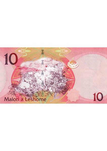 Lesotho 10 Maloti 2013, P#21B, Çil, Eski Yabancı Kağıt Para