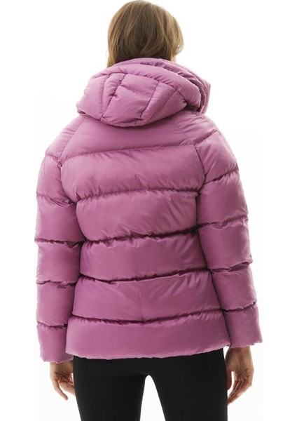 Kendinden Kapüşonlu Grogrenli Kısa Mont modelleri