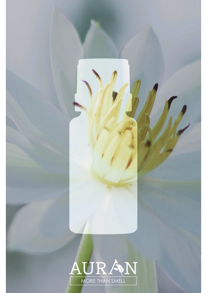 Zambak Esansiyel Uçucu Koku Yağı Difüzör Esansı Buhurdanlık Yağı Aromaterapi Yağı 10ml fiyatları