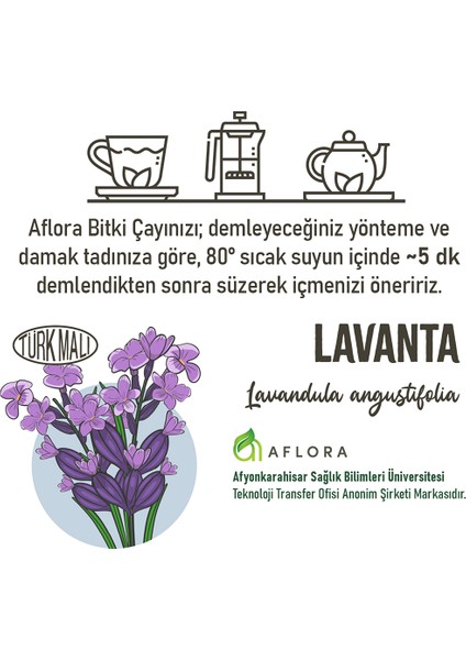 Lavanta (Lavandula Angustifolia)