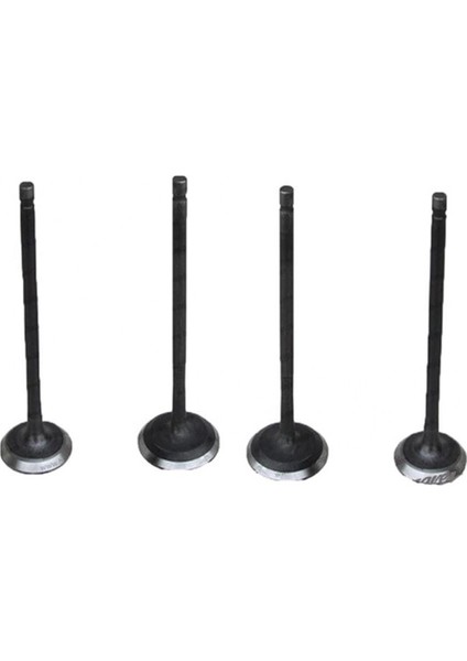 Yıldırım Emme Egzoz Subap Takımı 4'Lü Bajaj Pulsar Ns 200 Rs200