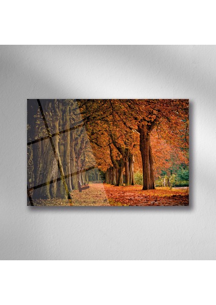 Sonbahar Orman Doğa Manzara Cam - 25*35