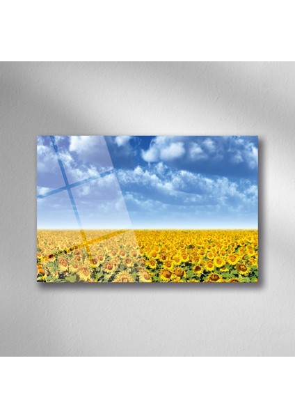 Ayçiçeği Doğa Manzara Cam - 25*35