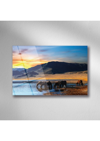 Tablo House Yılkı Atları Su Doğa Manzara Cam - 35X50