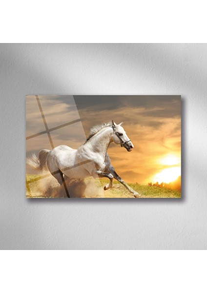 Beyaz Koşan At Cam - 25*35