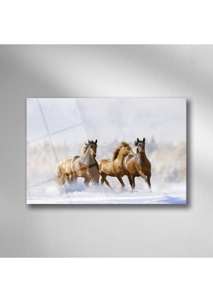 Karda Koşan Atlar Cam