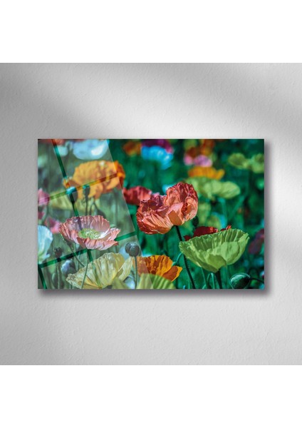 Çiçek Doğa Manzara Cam - 25*35