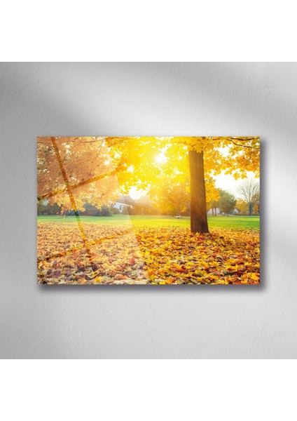 Sonbahar Doğa Manzara Cam - 25*35