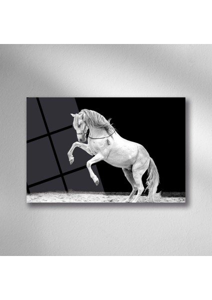 Beyaz At Manzara Cam - 25*35