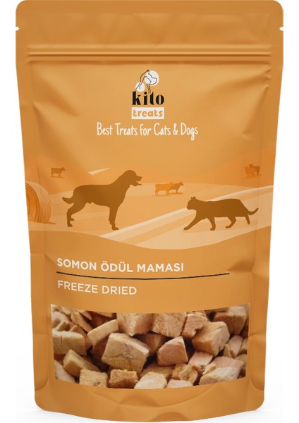 Freeze Dried Somon Ödül Maması Köpekler Için (30 gr)