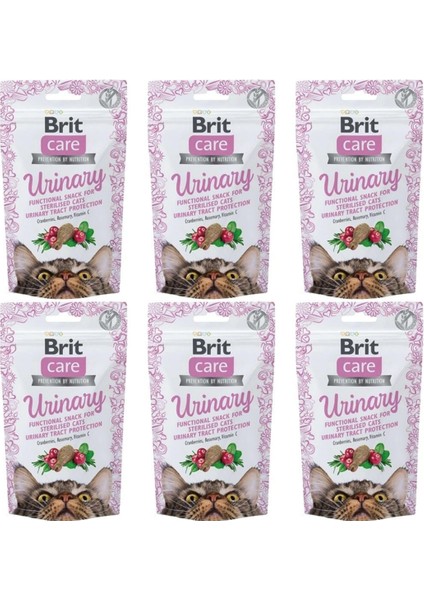 Urinary Idrar Sağlığı Destekleyici Kedi Ödül Maması 50 gr 6 Adet