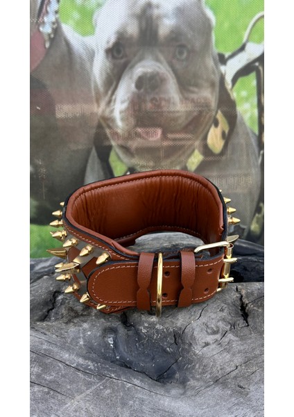 Ac Leather 8 cm Deri Köpek Boyun Tasması