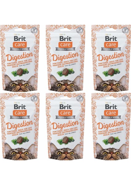 Digestion Destekleyici Tahılsız Kedi Ödül Maması 50gr - 6 Adet