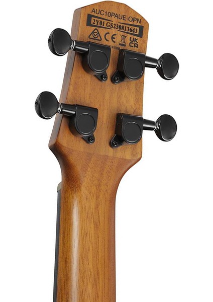 AUC10E-OPN Elektro Concert Ukulele