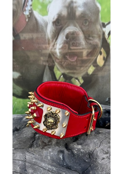 Ac Leather Extreme Deri Köpek Boyun Tasması