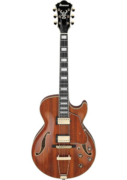 AG95K-NT Hollow Body Elektro Gitar