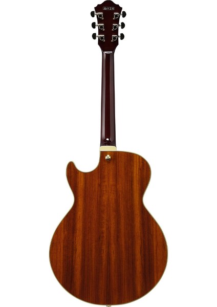 AG95K-NT Hollow Body Elektro Gitar fiyatları