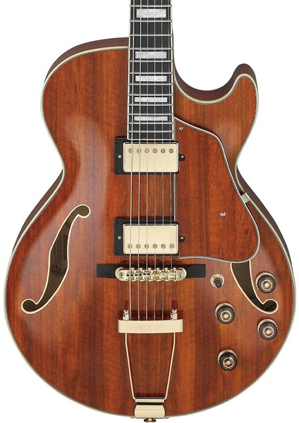 AG95K-NT Hollow Body Elektro Gitar modelleri