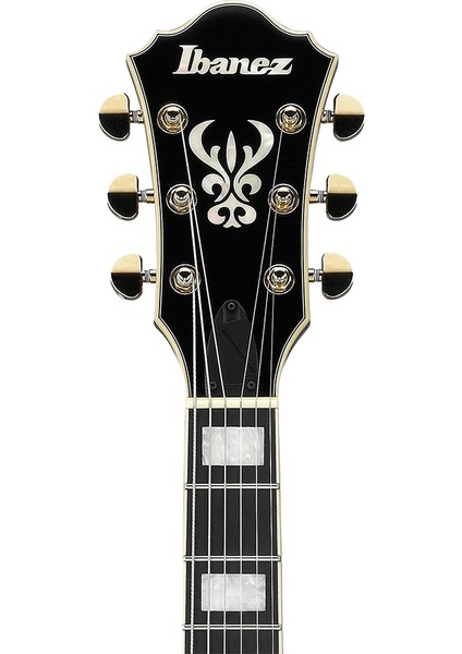 AG95K-NT Hollow Body Elektro Gitar fırsatları