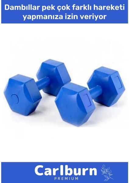 Özel Plastik Köşeli Spor Egzersiz Vücut Kas Geliştirme Fitness Ağırlık Mavi 5 kg Dambıl Set - 2 Adet fiyatları
