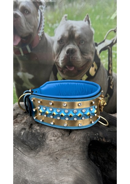 Ac Leather Ice Blue Extreme Deri Köpek Boyun Tasması