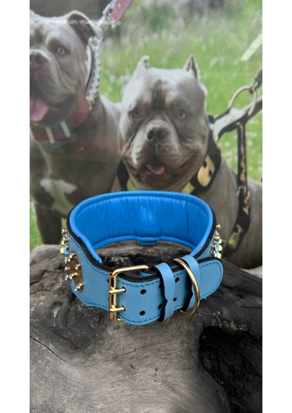 Ac Leather Ice Blue Extreme Deri Köpek Boyun Tasması