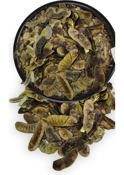 Açlık Otu Bitkisi Şifalı Bitkiler 50 gr