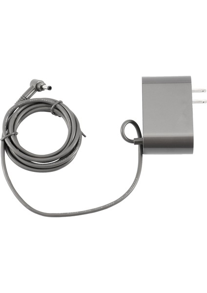 Dyson V10 V11 Elektrikli Süpürge Için Şarj Cihazı Güç Kablosu Adaptörü Değiştirilebilir Parçalar Abd Tak (Yurt Dışından)