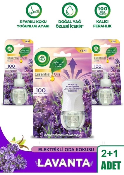 Elektrikli Oda Kokusu Seti Lavanta (1 Kit 2 Yedek)