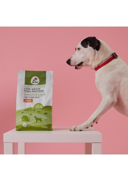 Yetişkin Köpek Maması 2,5 kg + Levrek Etli Kito Fresh x 6 fiyatları