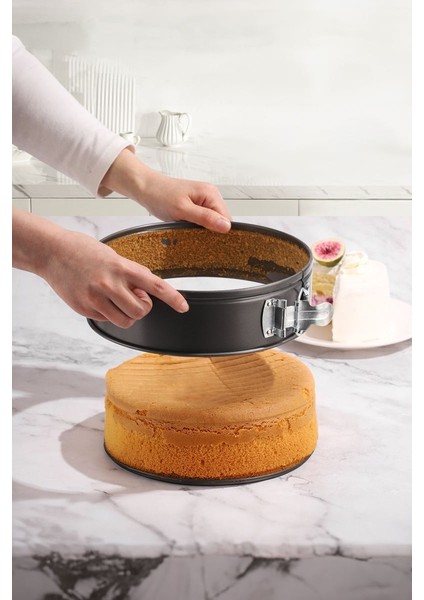 Karbon Çelik 3 Parça 24-26-28 cm Yuvarlak Kelepçeli Kek Kalıbı Seti CIN802SY fiyatları