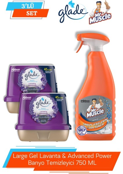 Large Gel Lavanta & Advanced Power Banyo Temizleyici 750 ml
