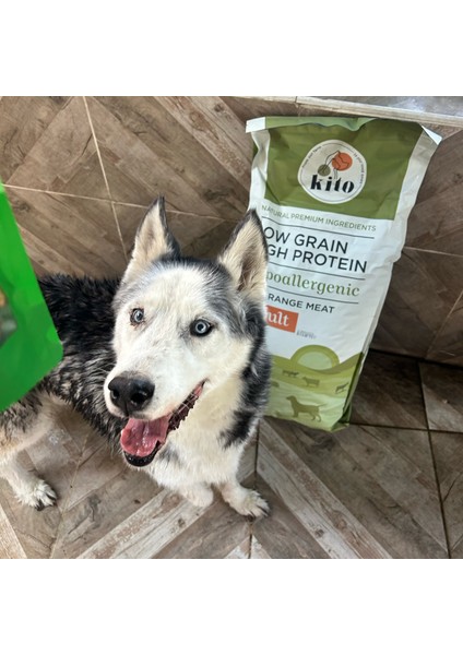 Yetişkin Köpek Maması 15 kg + Tavuk Etli Kito Fresh x 6 indirimleri