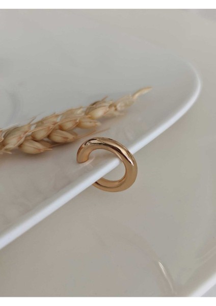 Gold Düz Halka Kıkırdak Küpe