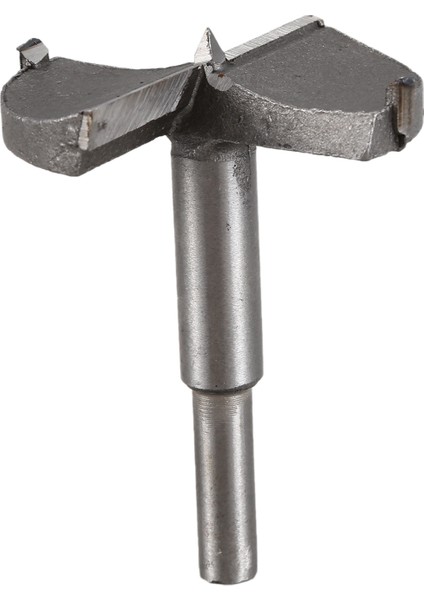 Hss Forstner Ucu Ahşap Matkapları Sanatsal Matkaplar Boru Matkapları 60 mm (Yurt Dışından)
