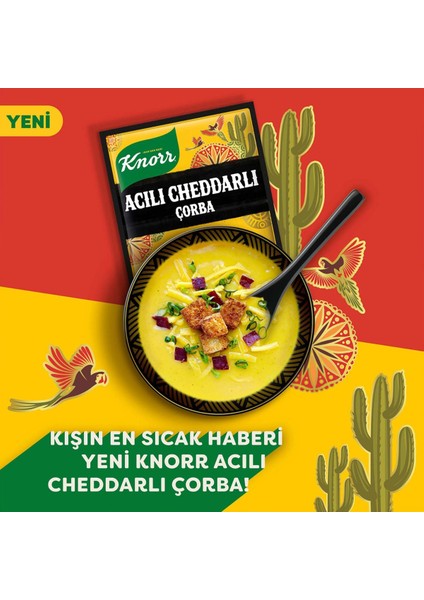 Acılı Cheddarlı Çorba 4 Kişilik 74 gr x 5