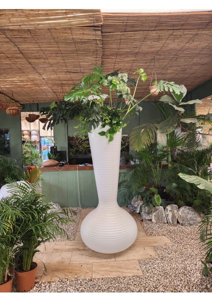 Mushroom Saksı fırsatları