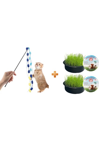 Organik Kedi Çimi 2'li + Çıngıraklı Kedi Oyun Oltası 50 cm