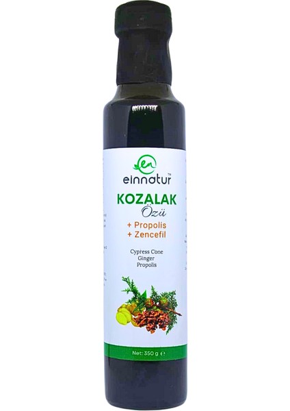 Einnatur Propolisli Zencefilli Kozalak Karışımı, 350 gr, çocuk ve yetişkin