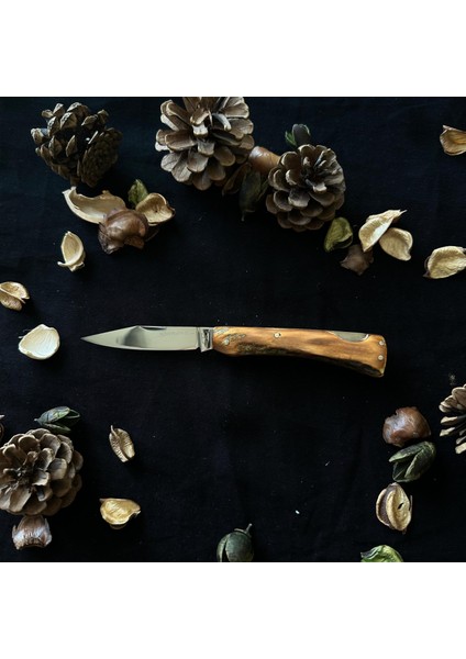 El Yapımı Geyik Boynuzundan Çelik Çakı SRM1008