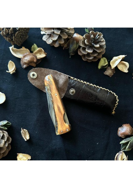 El Yapımı Geyik Boynuzundan Çelik Çakı SRM1008 fırsatları