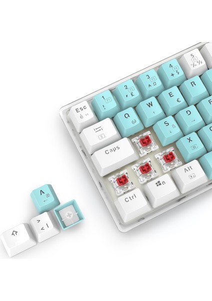 Mx-1 Mekanik Klavye Rgb Red Switch Türkçe Q Oyuncu Klavyesi Beyaz Mini Klavye Kablolu